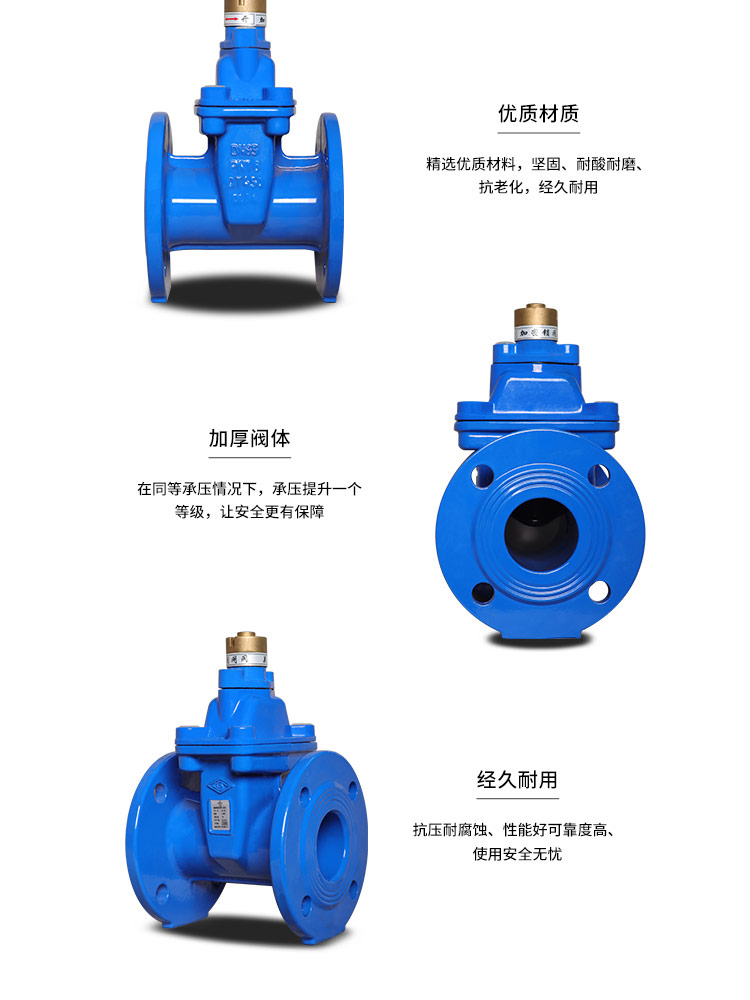 法兰暗杆软密封磁加密闸阀